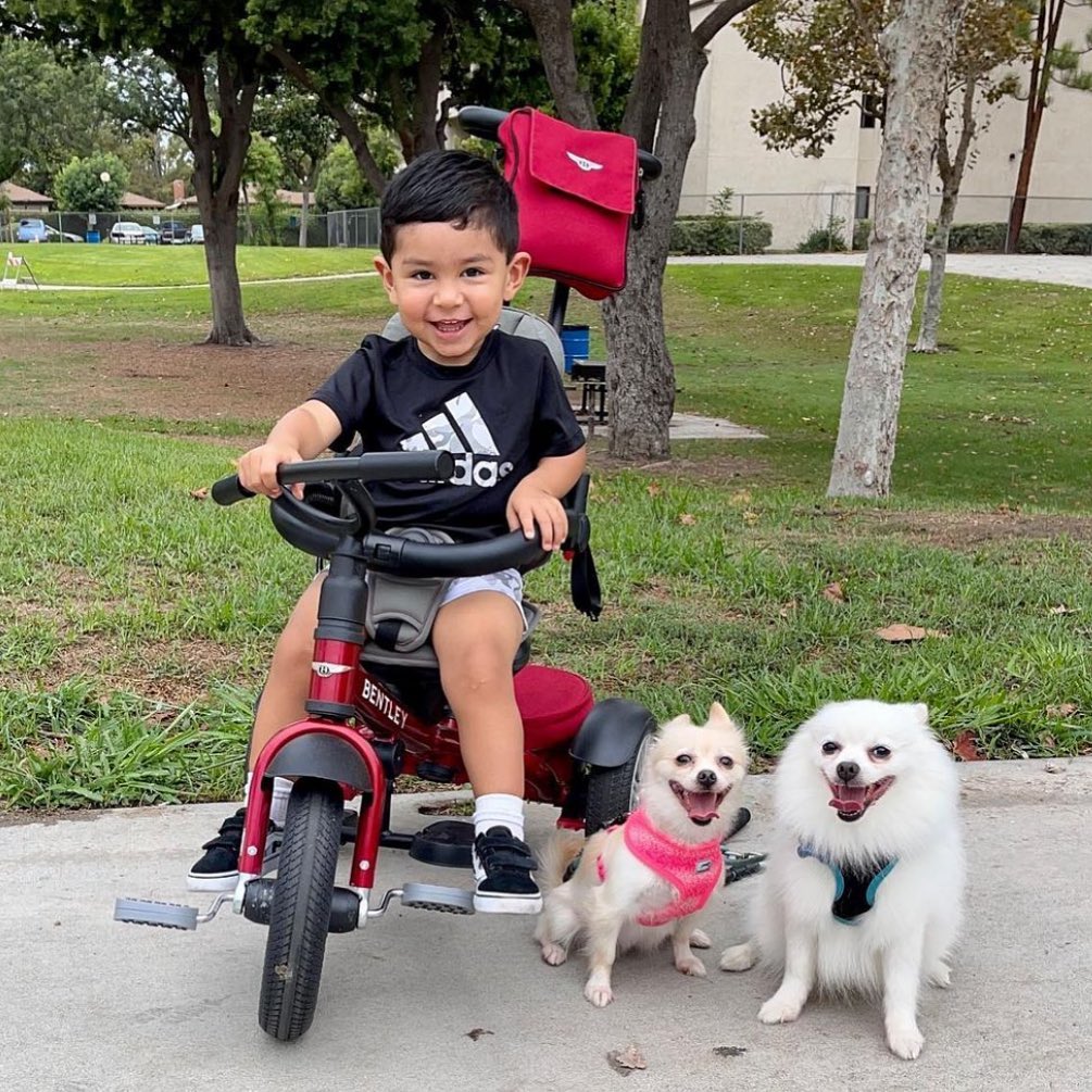 TODDLER TOYS TO HELP THEM RELAX