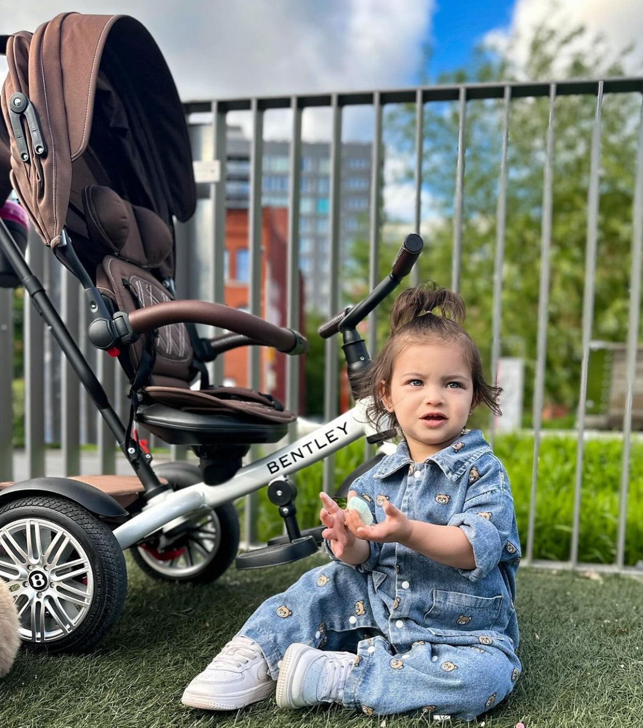 6 Reason Why Quality Matters: Investing in a High-End Trike