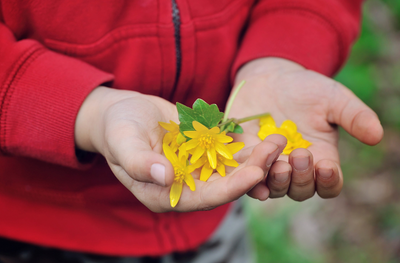 SPRING INTO FUN: ACTIVITIES TO KEEP KIDS ENGAGED AND EXCITED THIS SEASON