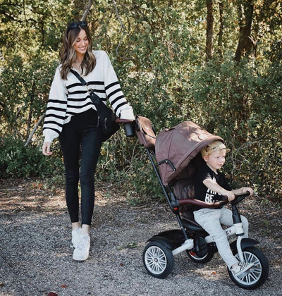 Exploring the Great Outdoors: How Stroller Trikes are Perfect for Country Living