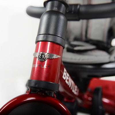 From Ordinary to Extraordinary: The Dragon Red Bentley Stroller Trike Experience