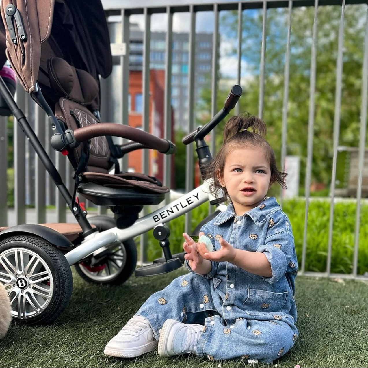 6 Reason Why Quality Matters: Investing in a High-End Trike