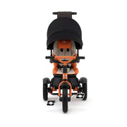 Mulliner Mandarin Bentley 6 in 1 Stroller Trike